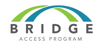 Bridges Access Program Image