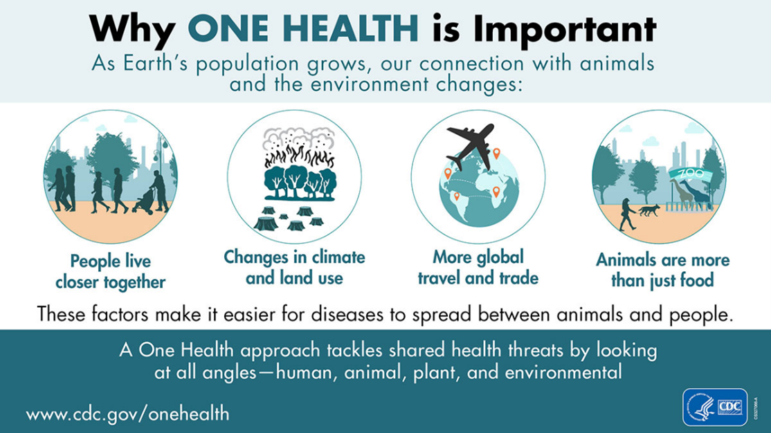 OneHealth graphic