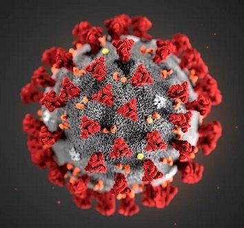 Covid 19 virus.