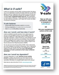 V-safe flyer