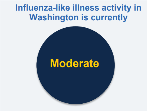 Washington Flu Update