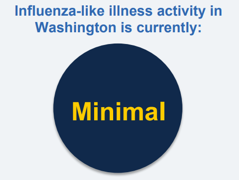 Flu activity in Washington is minimal