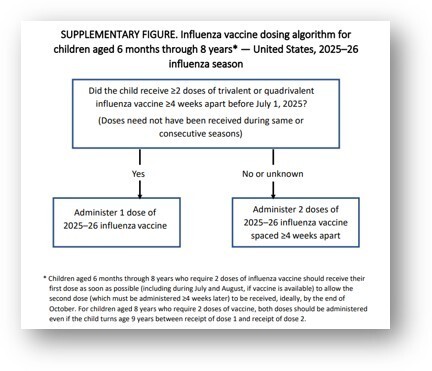 2025 flu algorithm