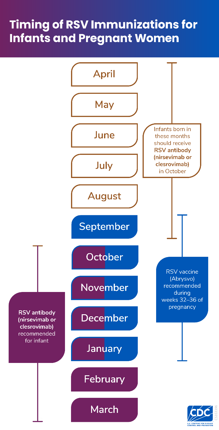 timing of rsv immunizations infographic