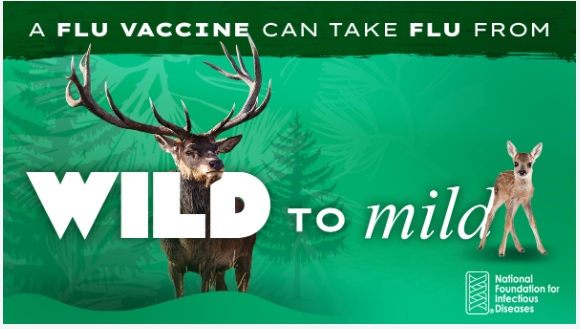 wild to mild flu graphic