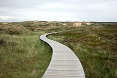 Path winding through a grassy field
