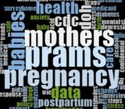 Word cloud with the most prominent words being: mothers, prams, pregnancy, and babies