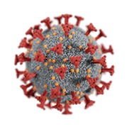 COVID-19 virus image