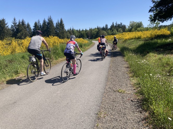 A photo of folks frolicking among the wildflowers near Gardiner on the Olympic Discovery Trail, May 2021 