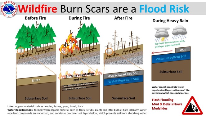 burn scar