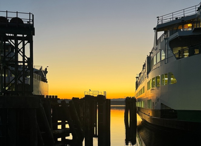 Sunrise at a ferry dock with ferries on either side and a silhouetted bird on in-water terminal structure in the middle