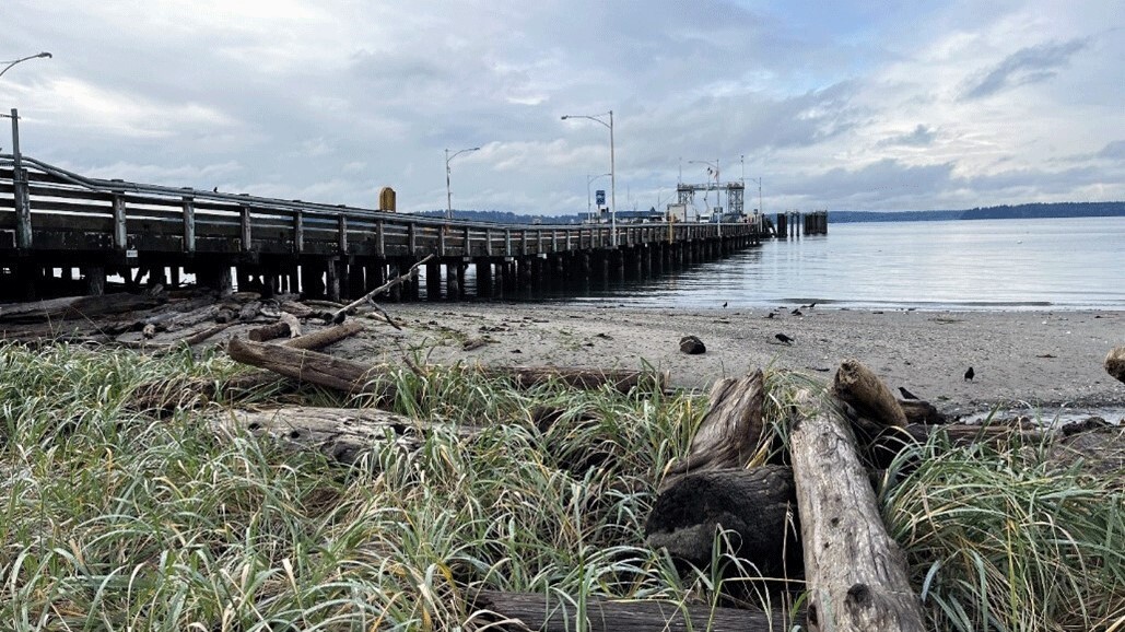 A wooden pier extends over calm water with logs and grassy patches on a sandy beach in the foreground under an overcast sky
