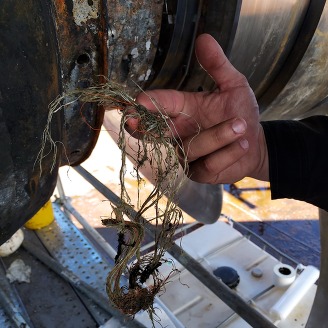 Hand holding tangled fibers near a metallic machine part with rust.