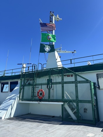 Ship deck with flags, including the American flag, a green flag and a blue flag, with a life preserver on the railing.