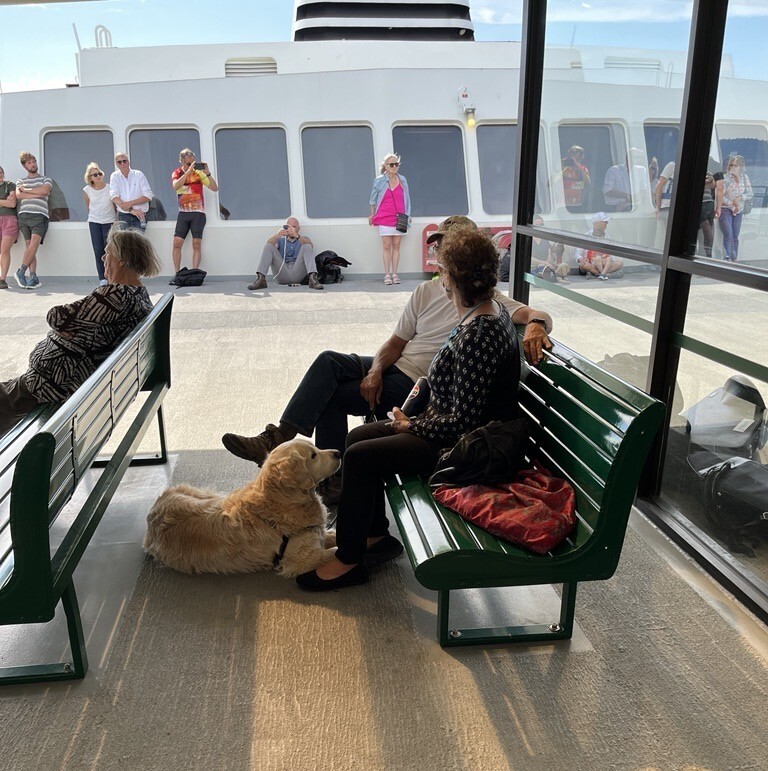 People sitting on benches on the outdoor deck of a ferry with a dog, while others stand.