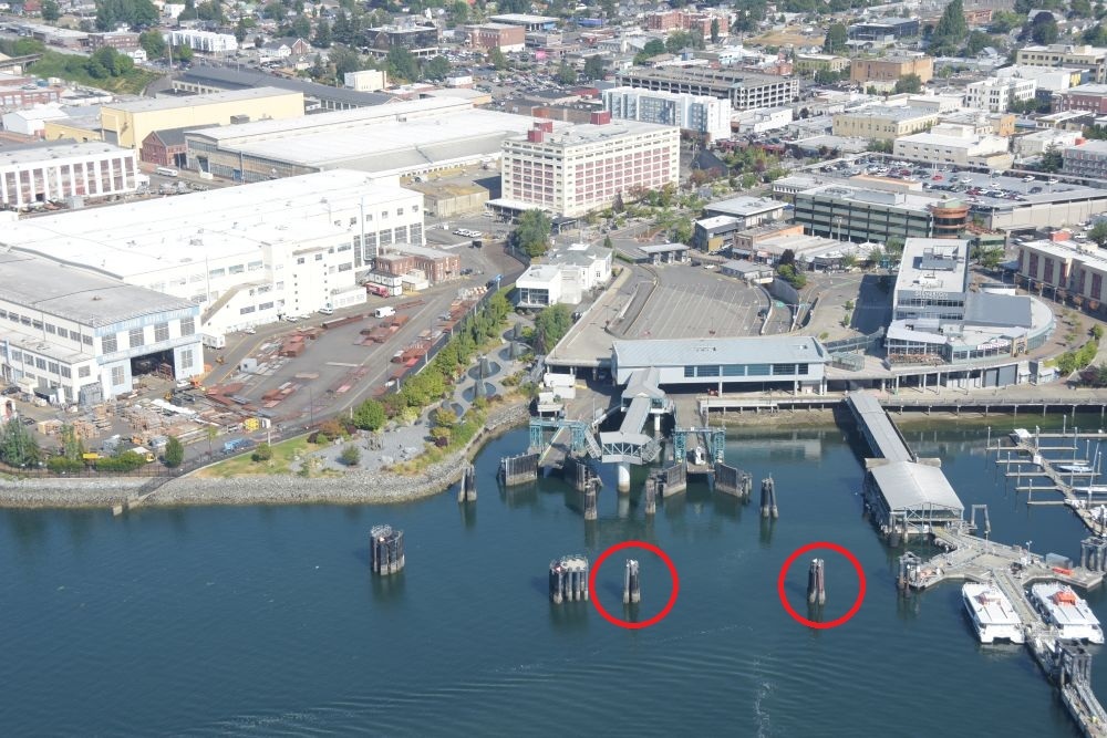 Aerial view of Bremerton terminal with highlighted pilings in water.