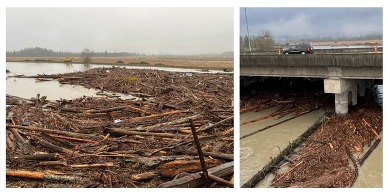 Log jam under the US 2 Trestle