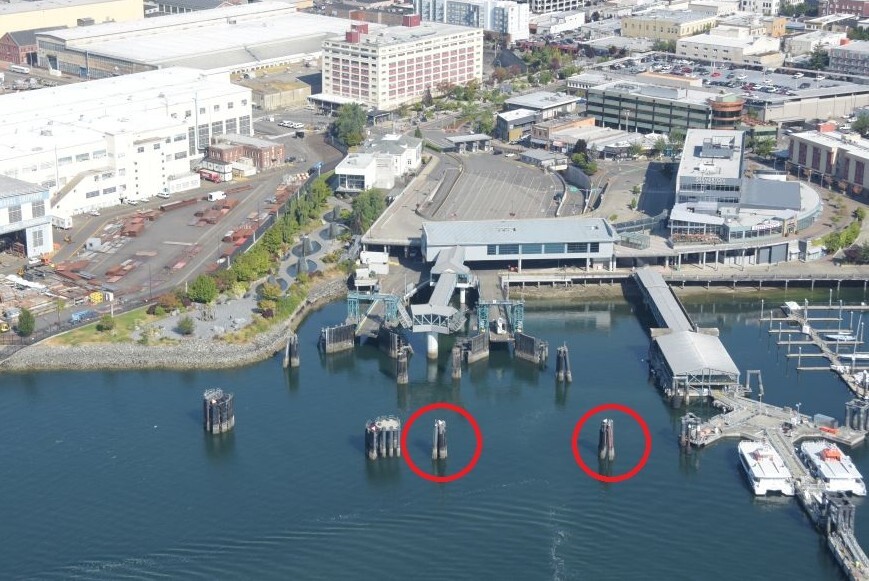 Aerial view of Bremerton terminal with two circled in-water structures, surrounded by urban buildings.