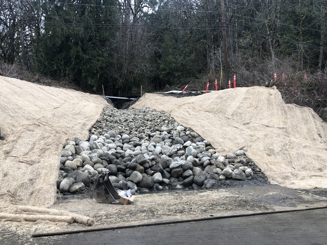 A drainage bed led by small stones along State Route 20 leads to a drainage grate with ground covering on either side.