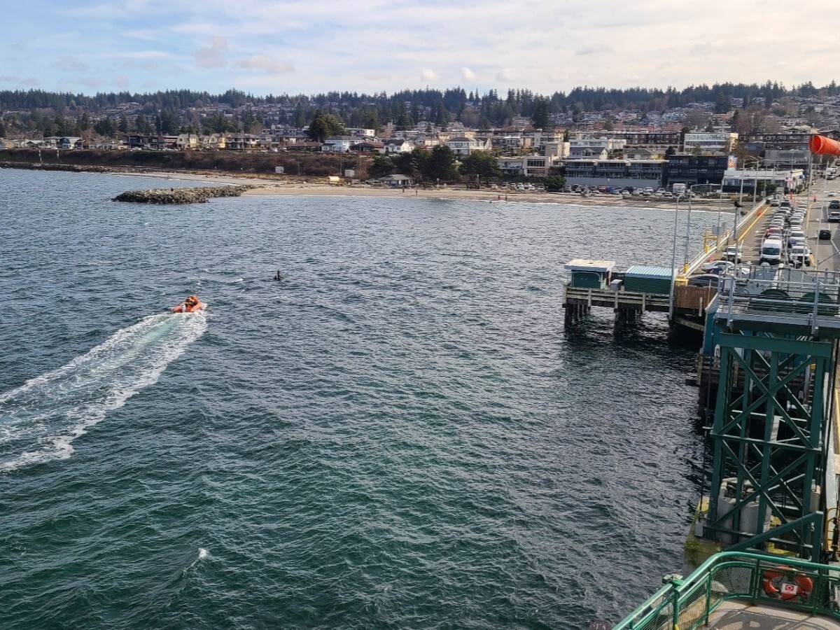 An orange rescue boat moves across a coastal body of water near a dock with parked vehicles and a shoreline town in the background.