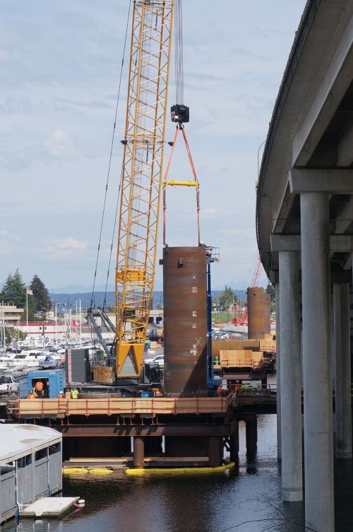 Crane photo