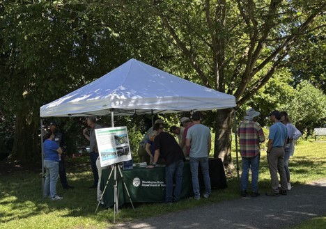 Roanoke Park pop-up photo