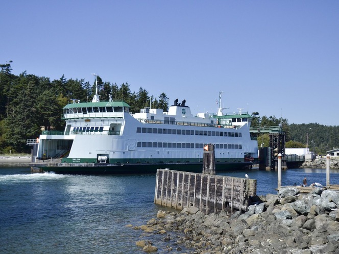 A large light green and white ferry named "SALISH" approaches a wooden dock in a waterfront area with evergreen trees in the background.