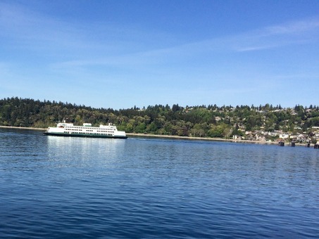 White-and-green passenger ferry traveling across blue water in front of a wooded residential shoreline.