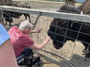 SVH trip to Bison Farm