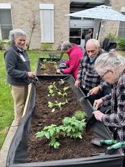WVH Memory Care residents plant 