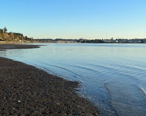 Budd Inlet