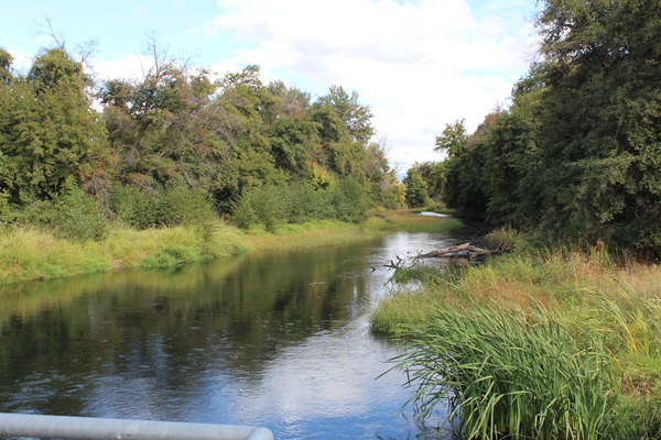 Walla Walla River at Gardena Diversion