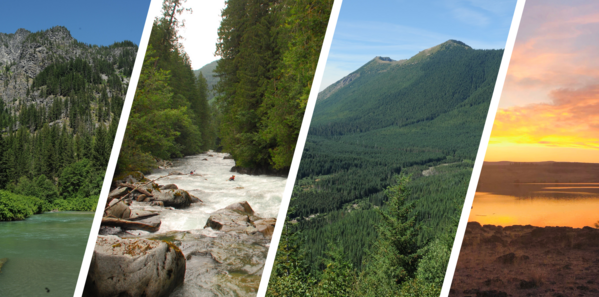 series of four waterbodies - three rivers and one lake