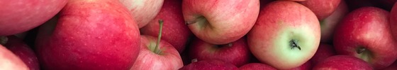 Red apple banner by by Kaleb Lovell on Unsplash @ https://unsplash.com/photos/red-apples-on-brown-wooden-table-g4HDMoApfnw