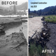 two pictures left-before side has a stream eroded into the river. Right side after restoration has a log jam with several feet of gravel beach