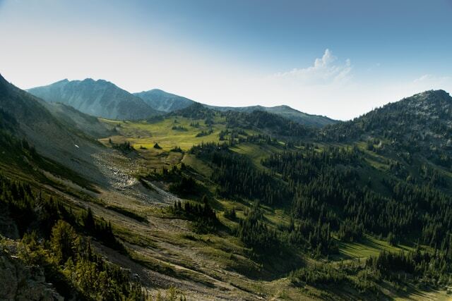 Mt Rainier national forest landscape featuring mountain peaks covered in green trees and prairie 