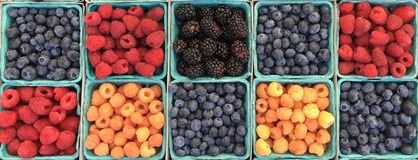 Mixed berries 2x5 Photo by Camila Aramayo on Unsplash