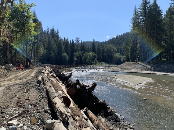 Stillaguamish river restoration