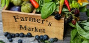 Farmers market box with produce. Photo credit Shelley Pauls on Unsplash