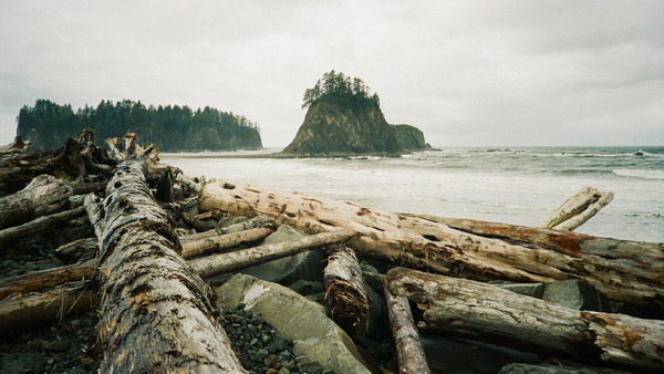 Picture of Rialto Beach