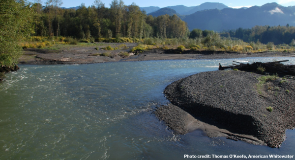 river with greenish water in one area surrounded by trees and mountains in the background. 