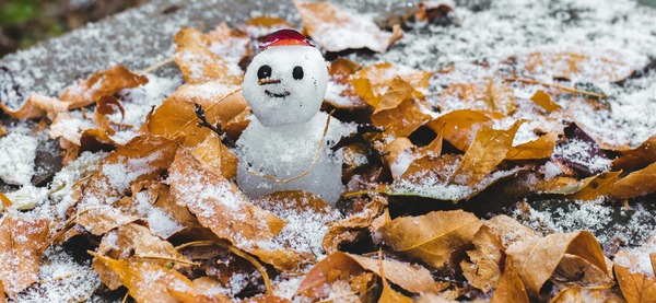 Snowperson among fall leaves. Photo credit Ryunosuke Kikuno on Unsplash