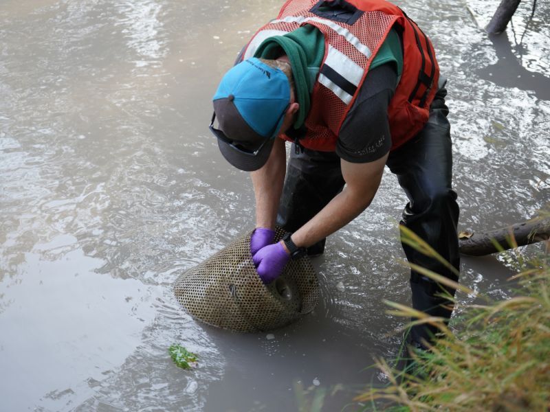 A scientist stands in a shallow stream pulling a metal cylindrical container used for sampling toxic chemicals.