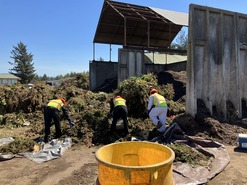 Workers sift through compost piles at a compost facility