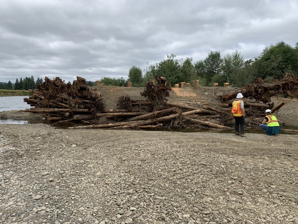 Engineered logjam construction along the Satsop River