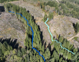 Aerial of forested area with some harvest, with lines showing streams with more and less buffers