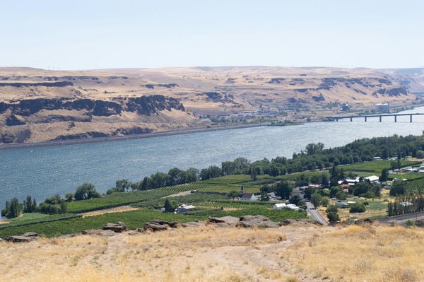 Green grass field next to a body of water near Goldendale, Washington 