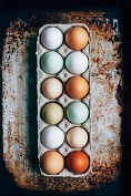 Photo of eggs in a carton by Kelly Neil on Unsplash.   