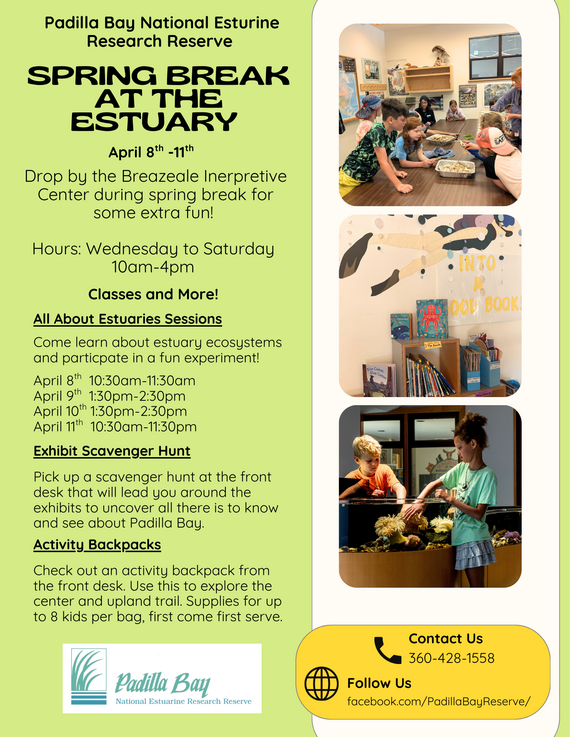 Spring Break Flyer