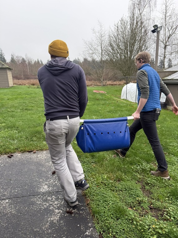 Walking the fish in a sling